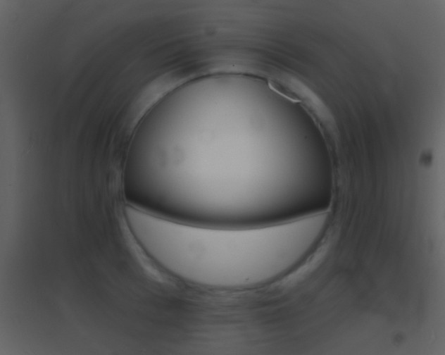 X0000095530993200712140930