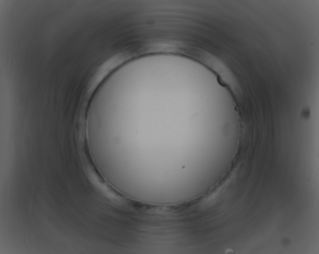 X0000095530994200712140930