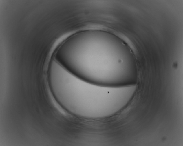 X0000095530995200712140930