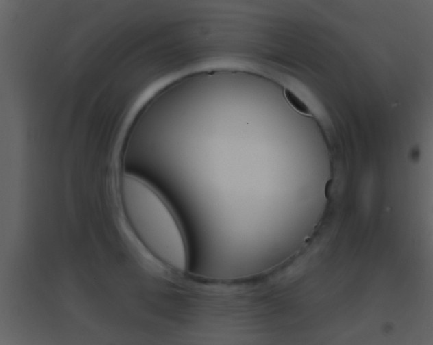 X0000095530996200712140930
