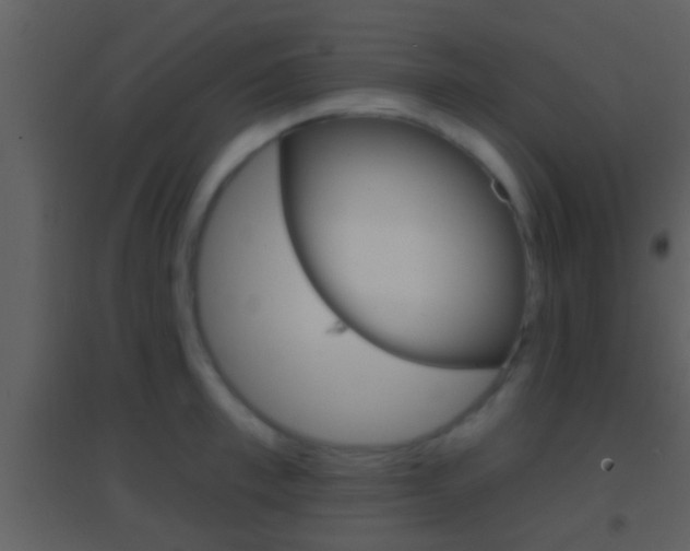 X0000095530997200712140930