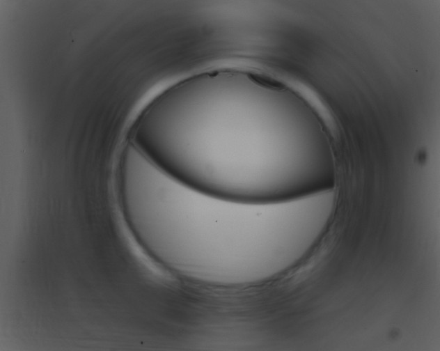 X0000095530999200712140930