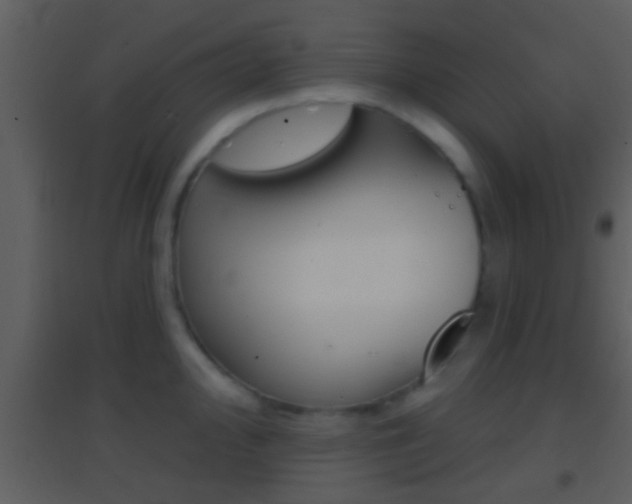X0000095531000200712140930