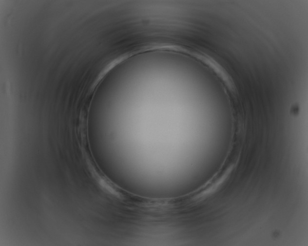 X0000095531001200712140930