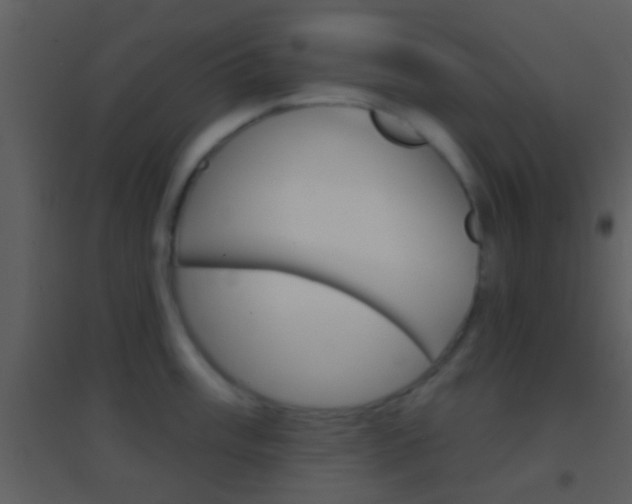 X0000095531003200712140930
