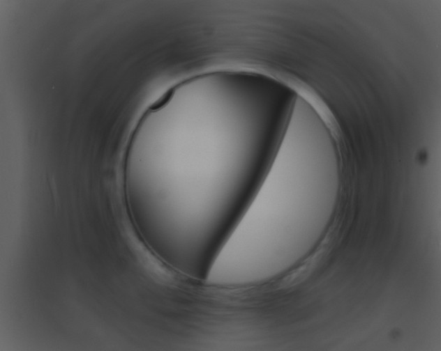 X0000095531004200712140930