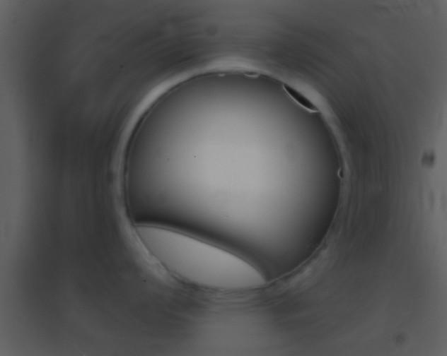 X0000095531008200712140930