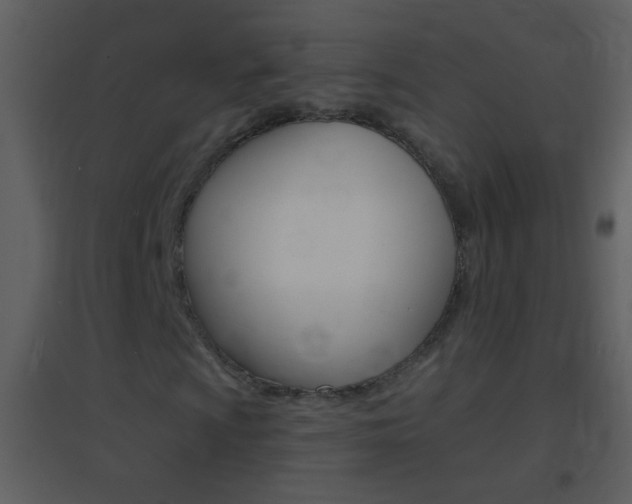 X0000095531009200712140929