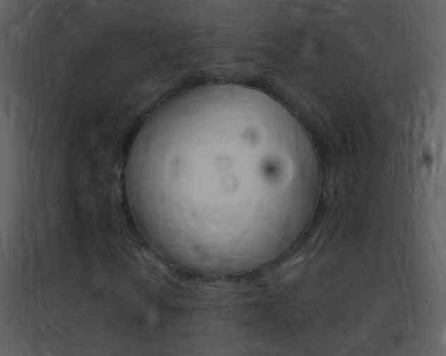 X0000095531010200712140929