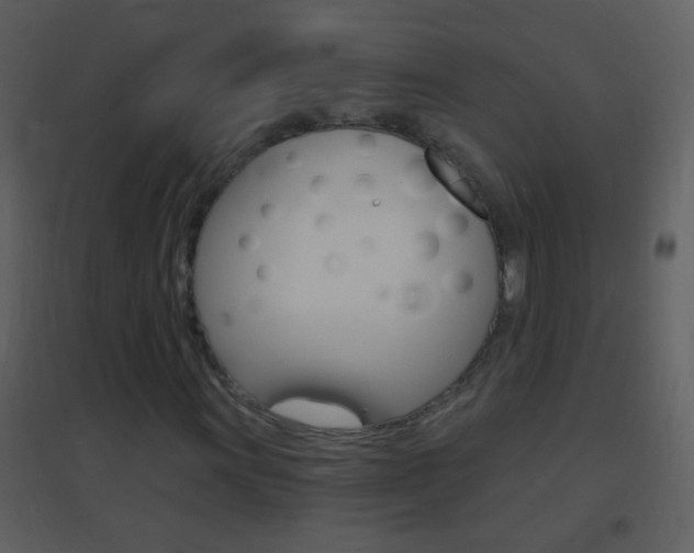 X0000095531011200712140929