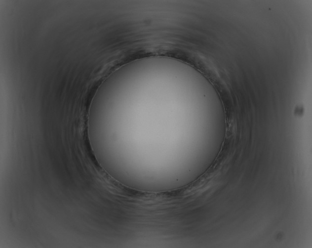 X0000095531012200712140929