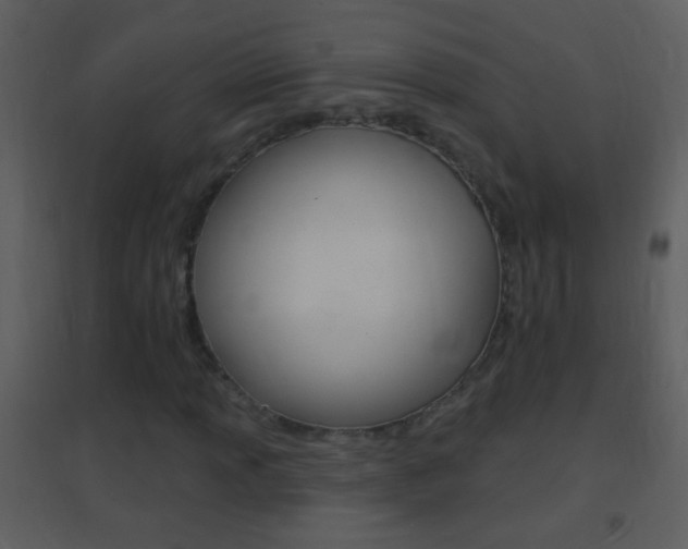 X0000095531013200712140929