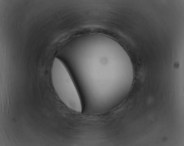 X0000095531014200712140929