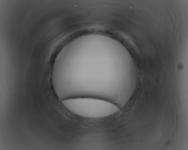 X0000095531015200712140929