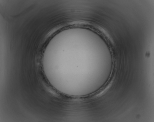 X0000095531017200712140929