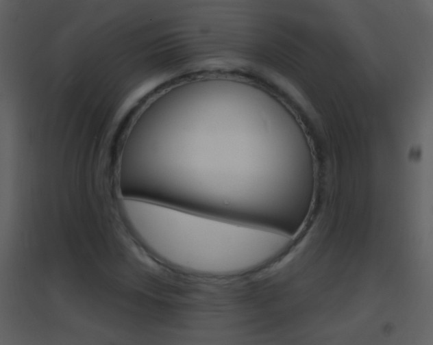 X0000095531018200712140929