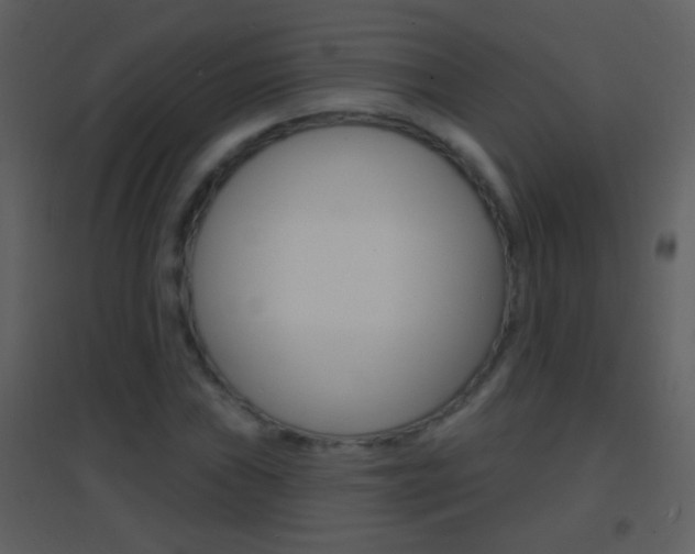 X0000095531019200712140929