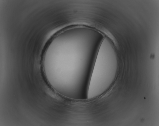 X0000095531020200712140929