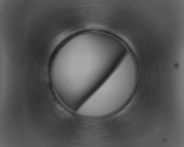 X0000095531022200712140929