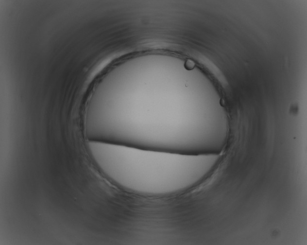 X0000095531023200712140929