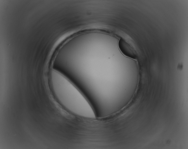 X0000095531024200712140929