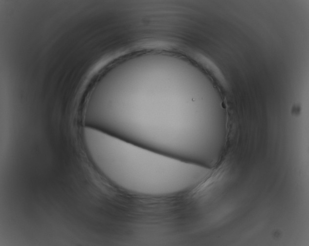 X0000095531027200712140930