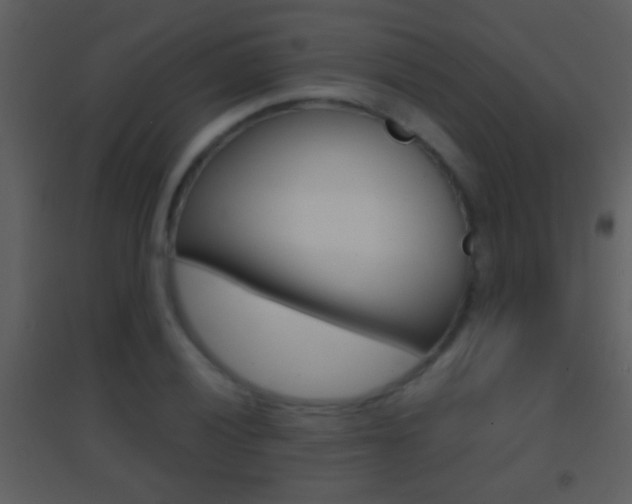 X0000095531028200712140930