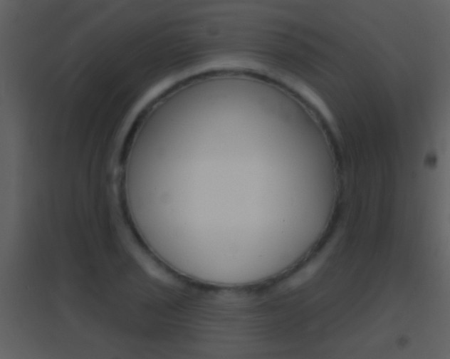 X0000095531029200712140930