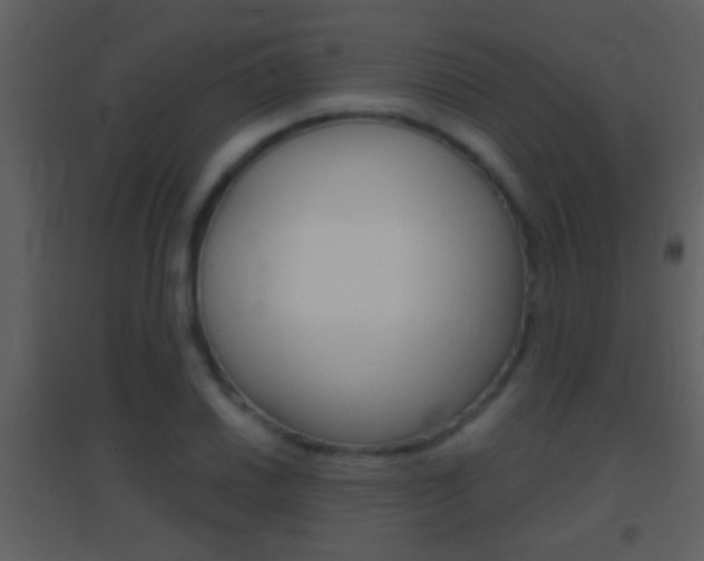 X0000095531030200712140930