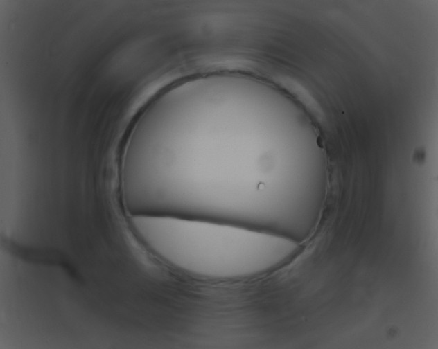 X0000095531031200712140930