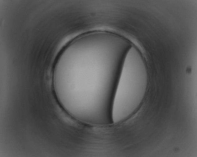 X0000095531032200712140930