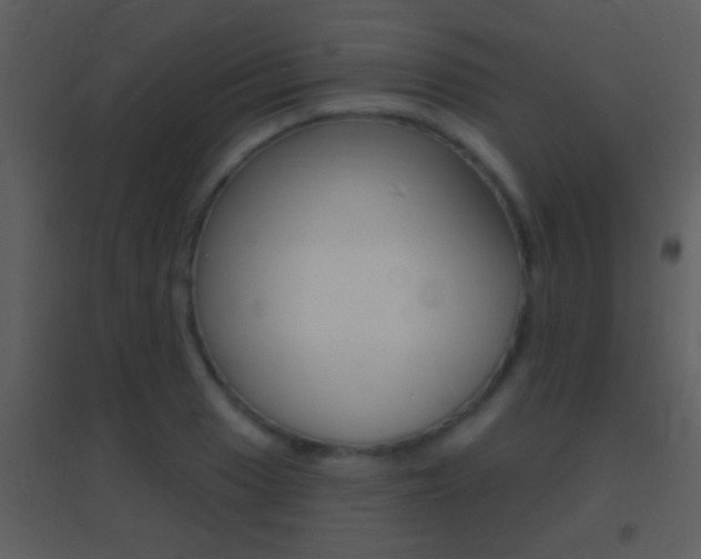 X0000095531033200712140930
