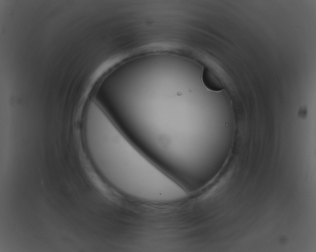 X0000095531034200712140930