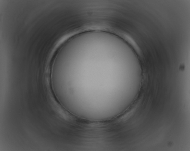 X0000095531035200712140930