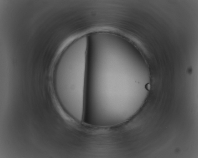 X0000095531038200712140930