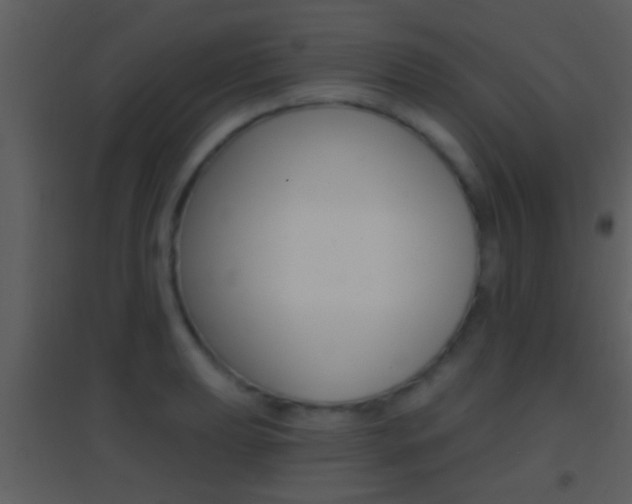 X0000095531039200712140930