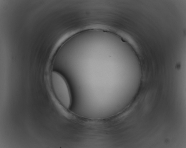 X0000095531040200712140930