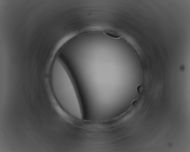 X0000095531042200712140930
