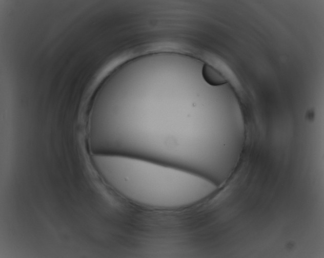 X0000095531043200712140930