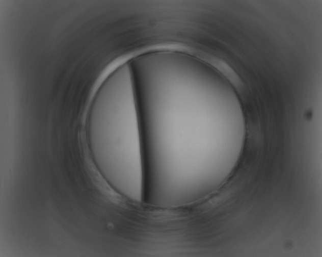 X0000095531044200712140930