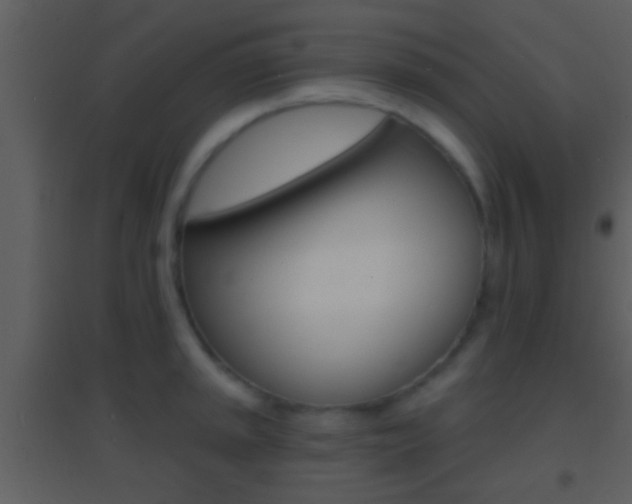 X0000095531045200712140930
