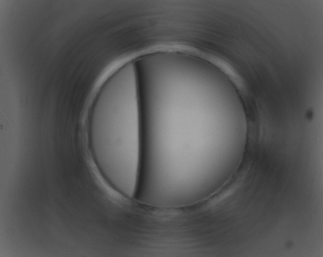 X0000095531046200712140930