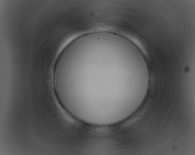 X0000095531047200712140930