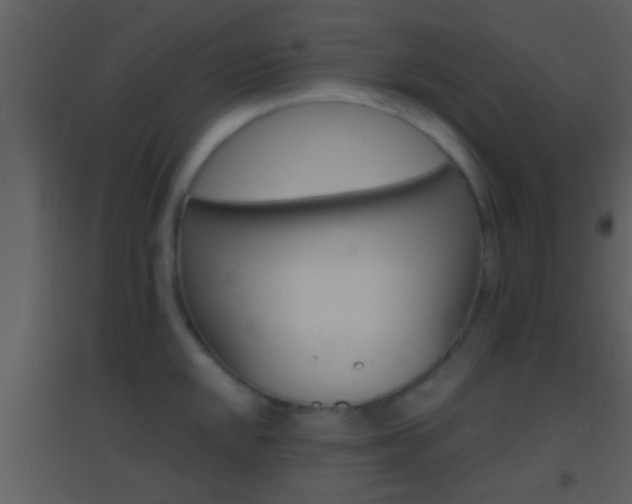 X0000095531048200712140930