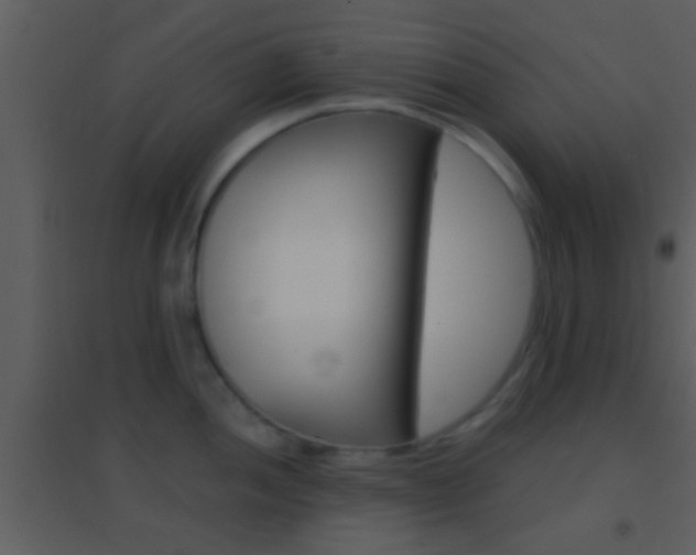 X0000095531052200712140930