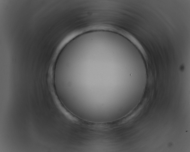 X0000095531053200712140930