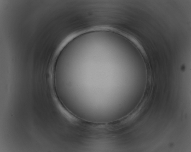 X0000095531054200712140930