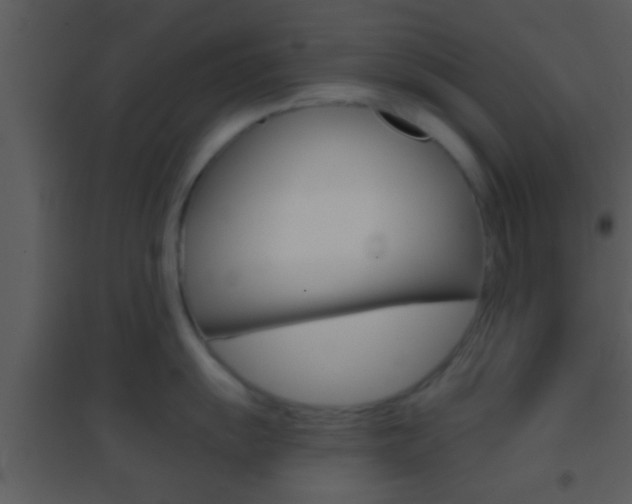 X0000095531055200712140930
