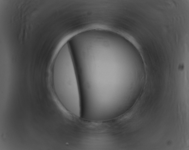 X0000095531056200712140930