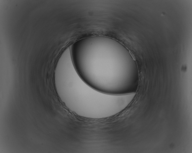X0000095531057200712140929